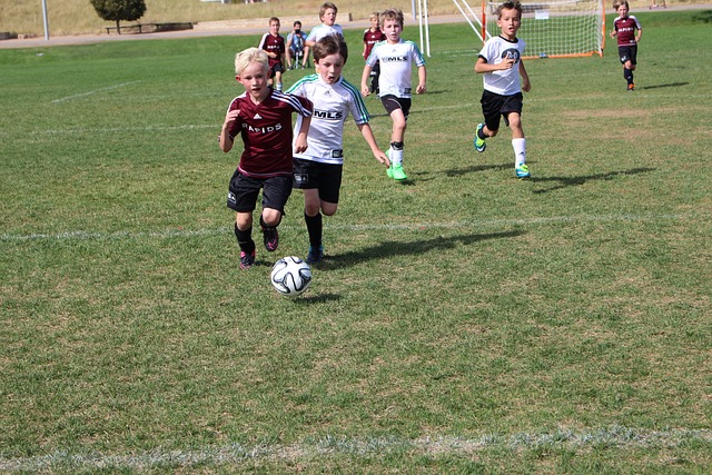 在这个舞台 在这个舞台