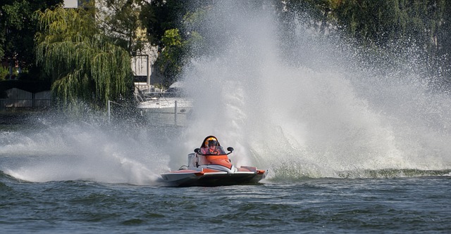 负担选择离 负担选择离