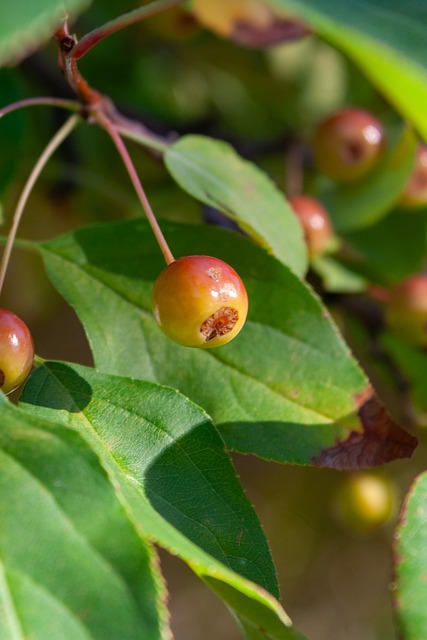上港形成从 上港形成从