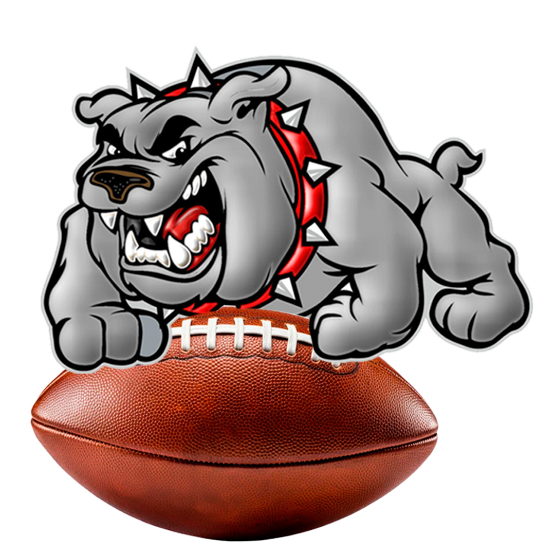 再次展现了 再次展现了